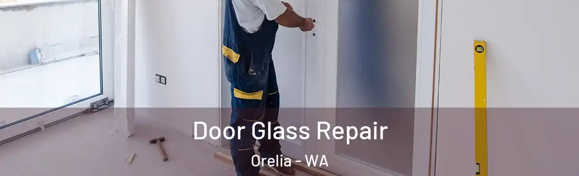 Door Glass Repair Orelia - WA