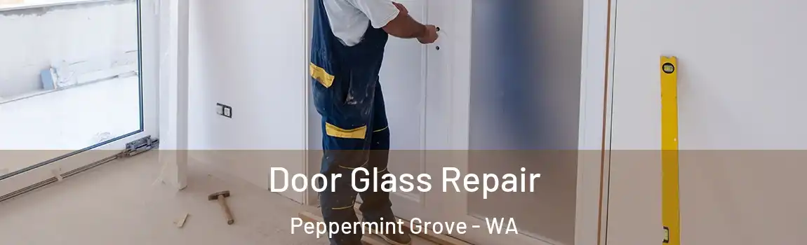 Door Glass Repair Peppermint Grove - WA