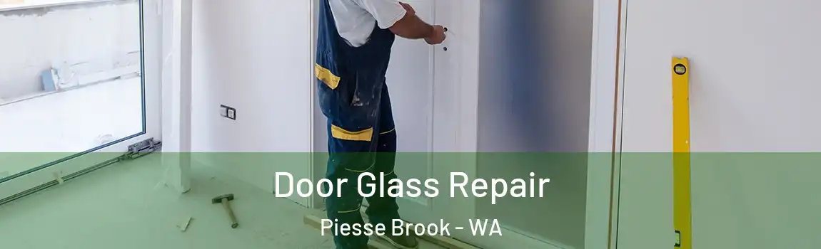 Door Glass Repair Piesse Brook - WA
