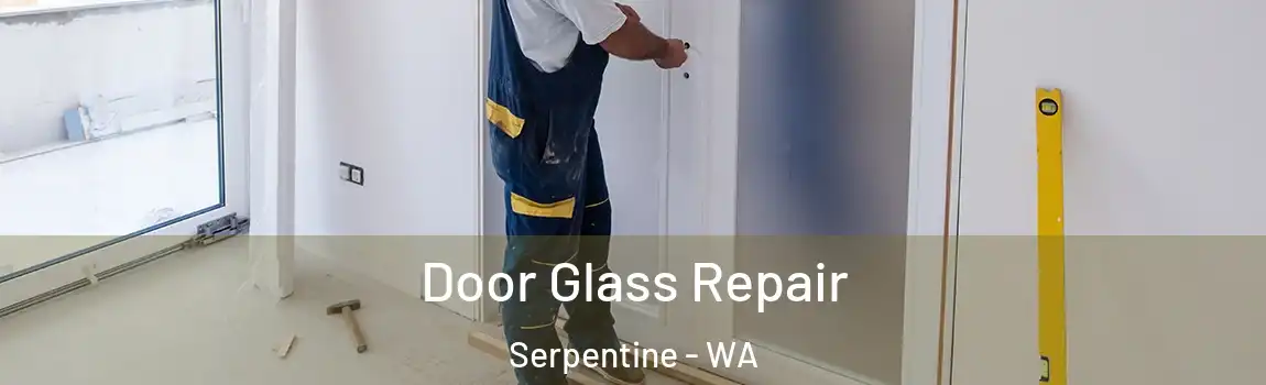 Door Glass Repair Serpentine - WA