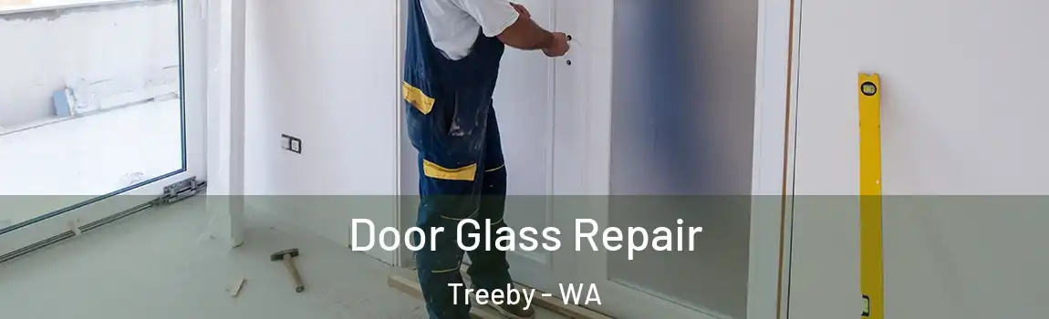Door Glass Repair Treeby - WA