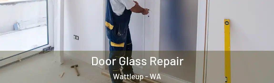 Door Glass Repair Wattleup - WA