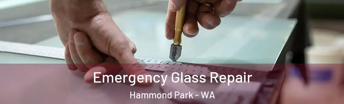 Emergency Glass Repair Hammond Park - WA