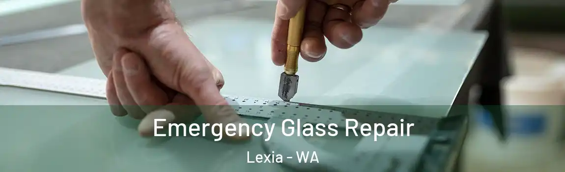 Emergency Glass Repair Lexia - WA