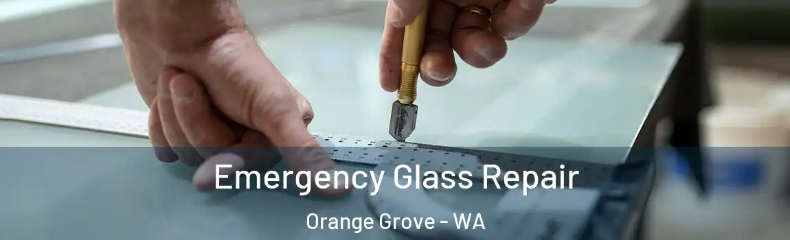 Emergency Glass Repair Orange Grove - WA