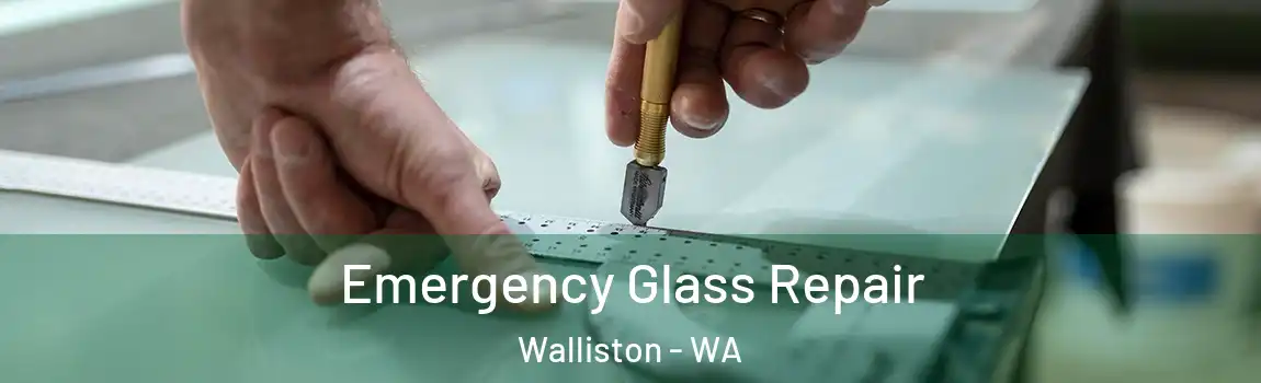 Emergency Glass Repair Walliston - WA