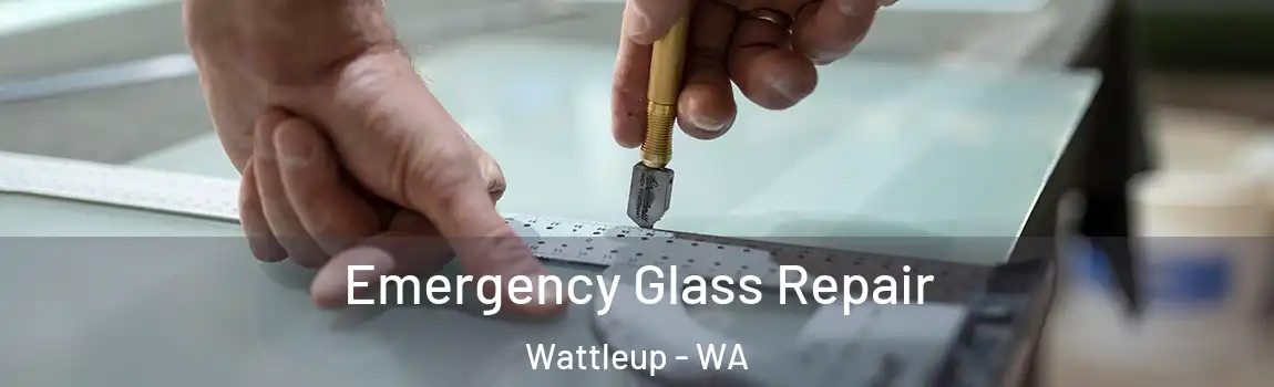 Emergency Glass Repair Wattleup - WA