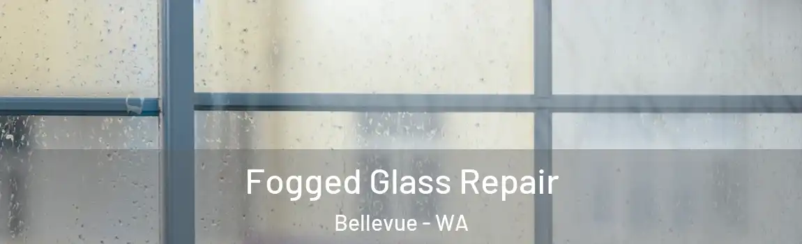 Fogged Glass Repair Bellevue - WA
