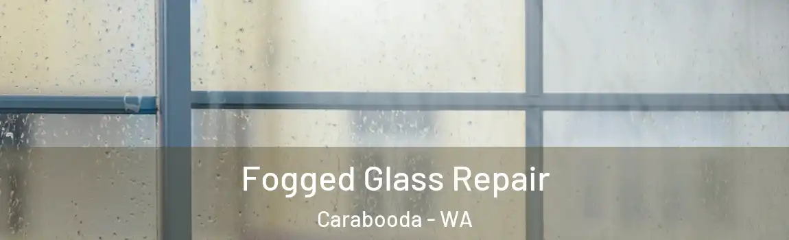 Fogged Glass Repair Carabooda - WA