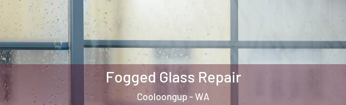 Fogged Glass Repair Cooloongup - WA