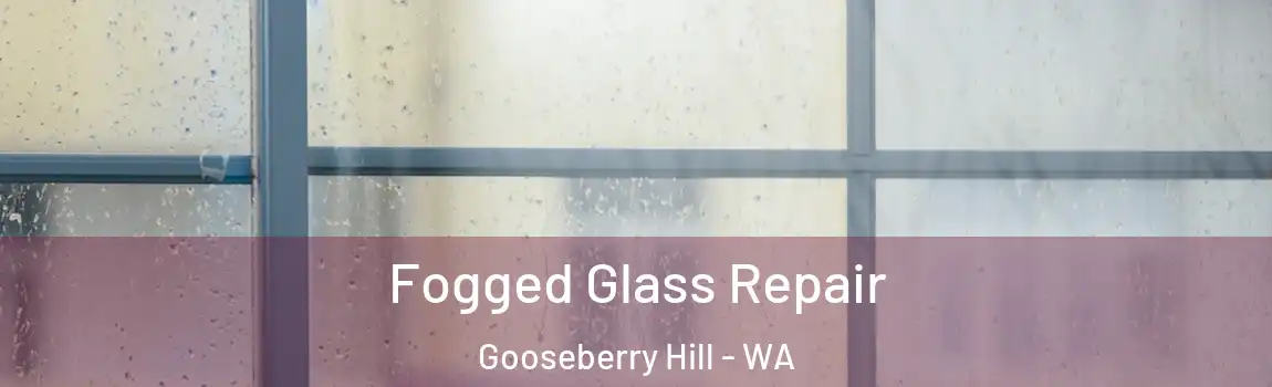 Fogged Glass Repair Gooseberry Hill - WA