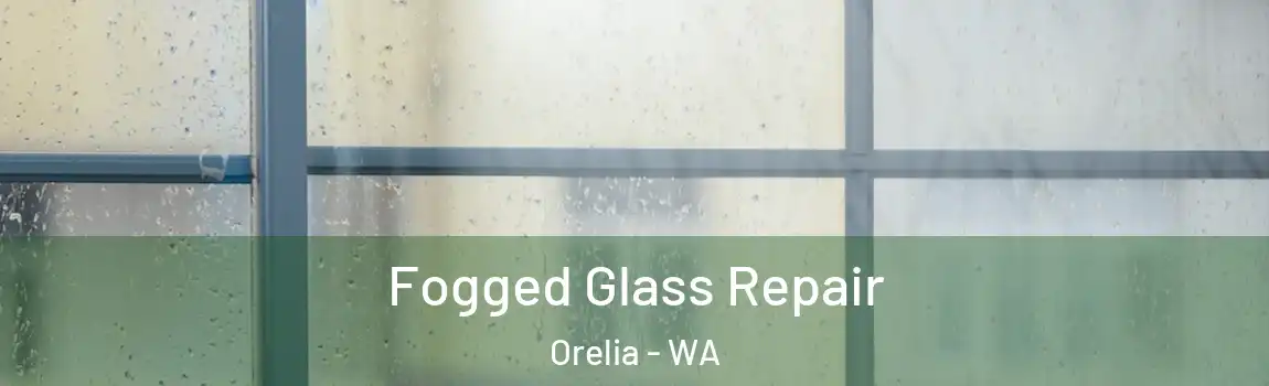 Fogged Glass Repair Orelia - WA