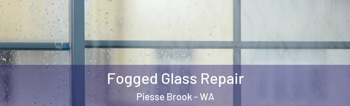 Fogged Glass Repair Piesse Brook - WA
