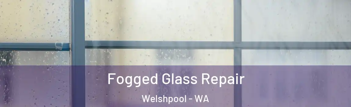 Fogged Glass Repair Welshpool - WA