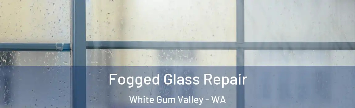 Fogged Glass Repair White Gum Valley - WA
