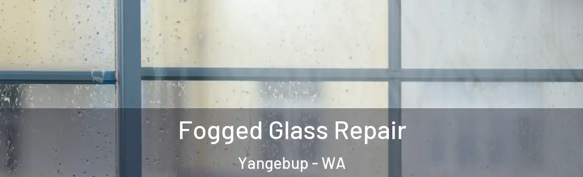 Fogged Glass Repair Yangebup - WA