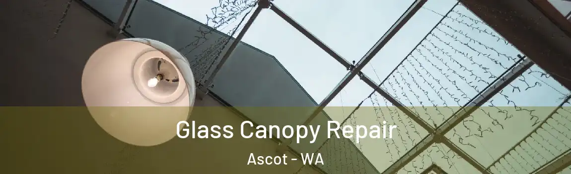Glass Canopy Repair Ascot - WA
