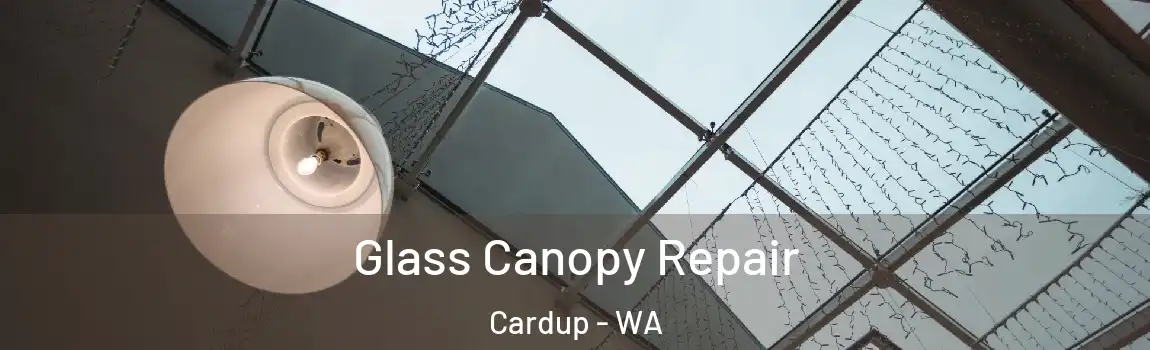  Glass Canopy Repair Cardup - WA