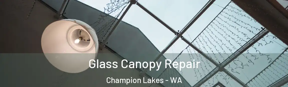 Glass Canopy Repair Champion Lakes - WA