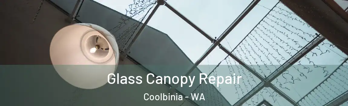 Glass Canopy Repair Coolbinia - WA