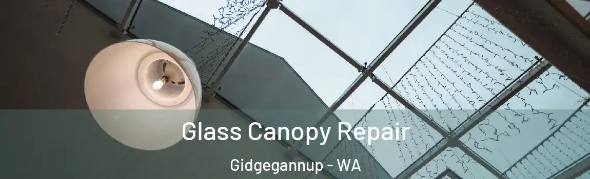 Glass Canopy Repair Gidgegannup - WA