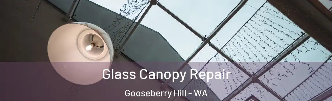 Glass Canopy Repair Gooseberry Hill - WA