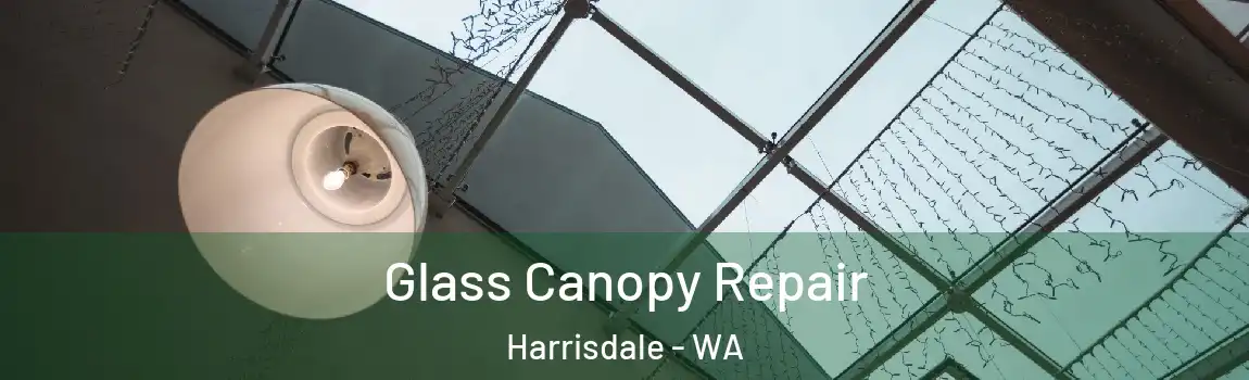 Glass Canopy Repair Harrisdale - WA