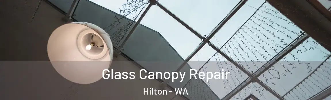 Glass Canopy Repair Hilton - WA