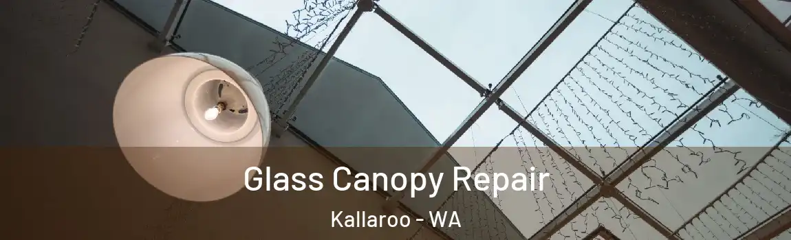 Glass Canopy Repair Kallaroo - WA