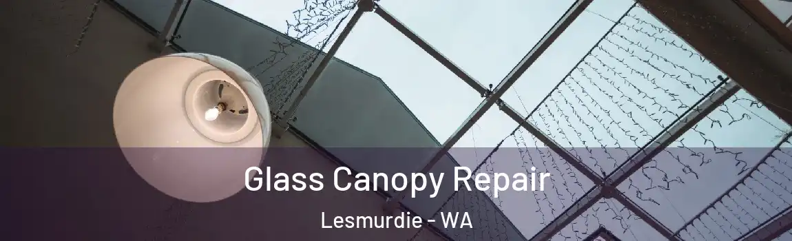 Glass Canopy Repair Lesmurdie - WA