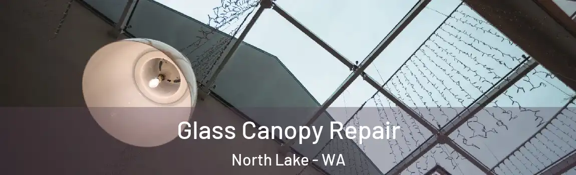 Glass Canopy Repair North Lake - WA