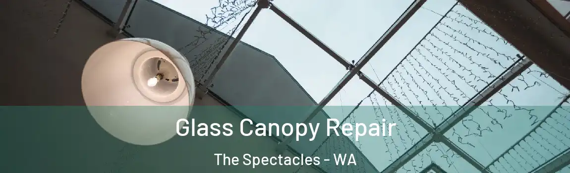 Glass Canopy Repair The Spectacles - WA