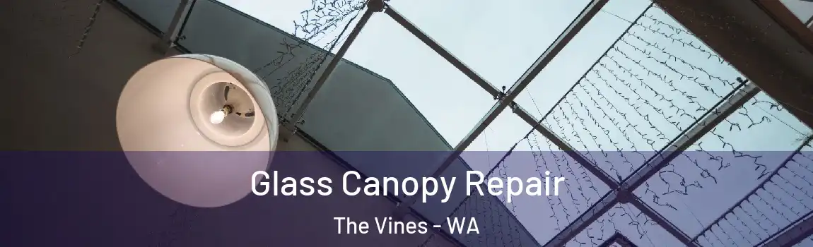 Glass Canopy Repair The Vines - WA