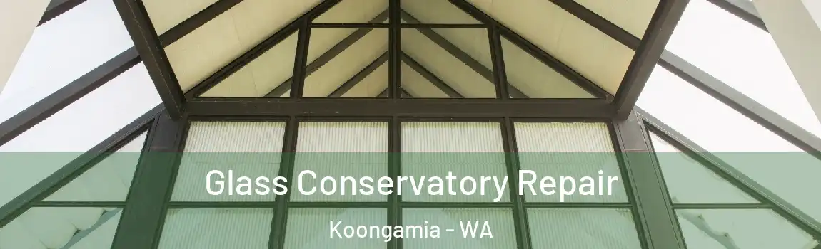 Glass Conservatory Repair Koongamia - WA