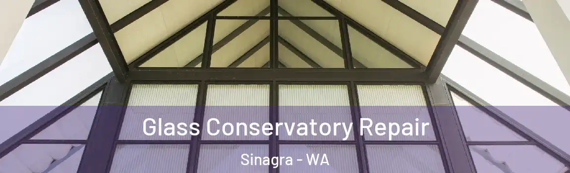  Glass Conservatory Repair Sinagra - WA