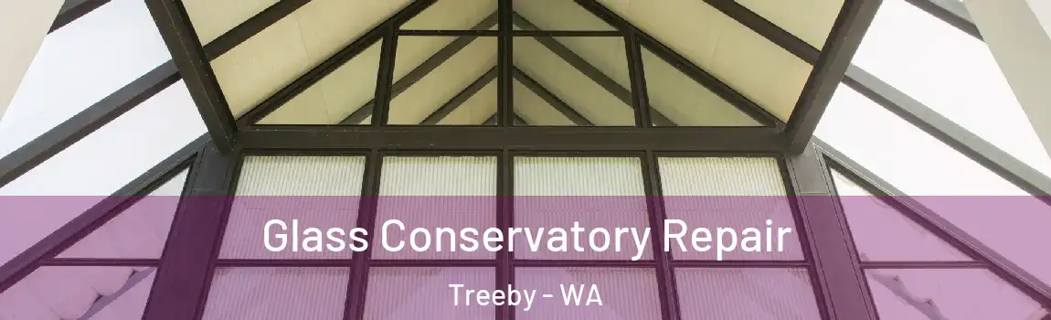 Glass Conservatory Repair Treeby - WA