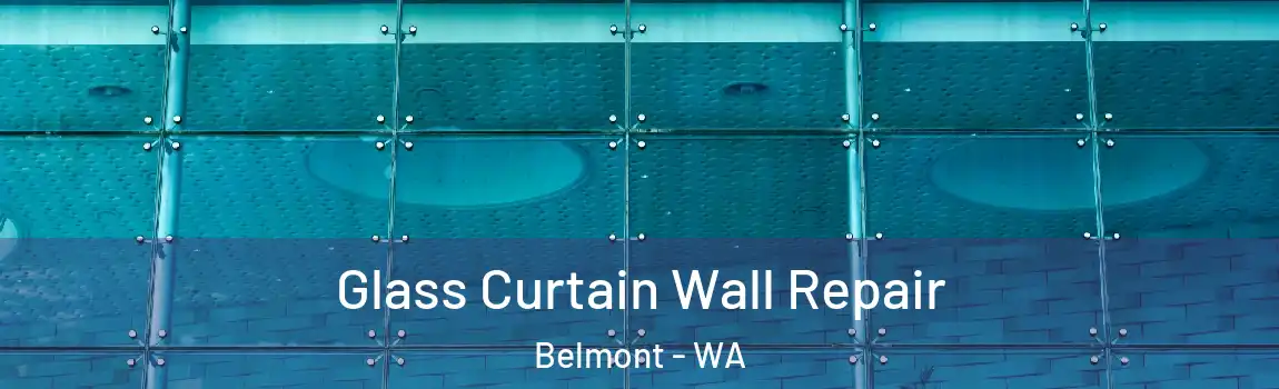 Glass Curtain Wall Repair Belmont - WA