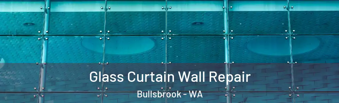 Glass Curtain Wall Repair Bullsbrook - WA