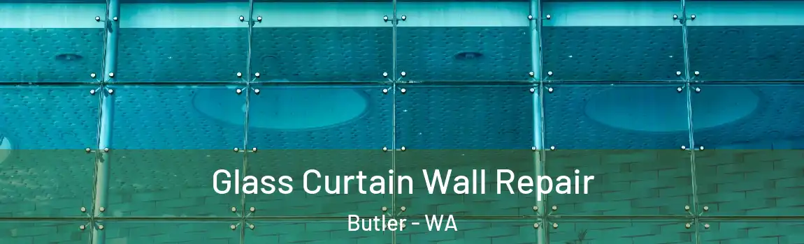 Glass Curtain Wall Repair Butler - WA