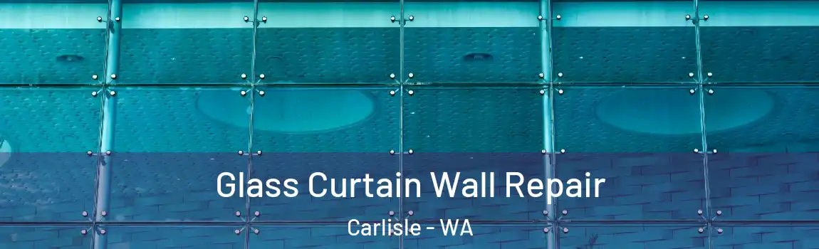 Glass Curtain Wall Repair Carlisle - WA