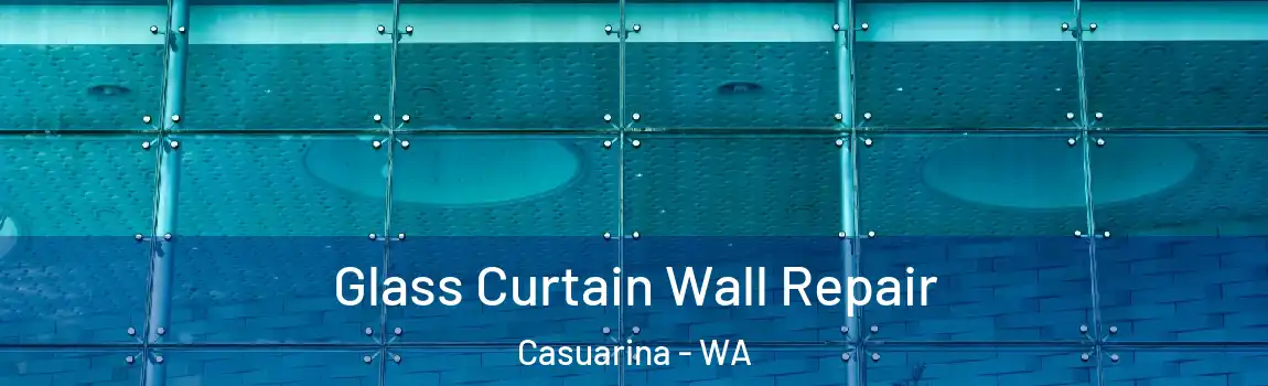 Glass Curtain Wall Repair Casuarina - WA