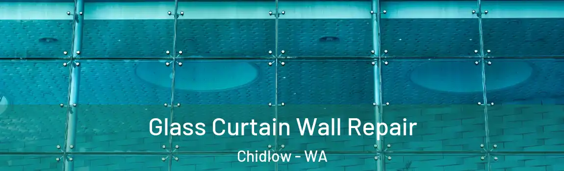 Glass Curtain Wall Repair Chidlow - WA