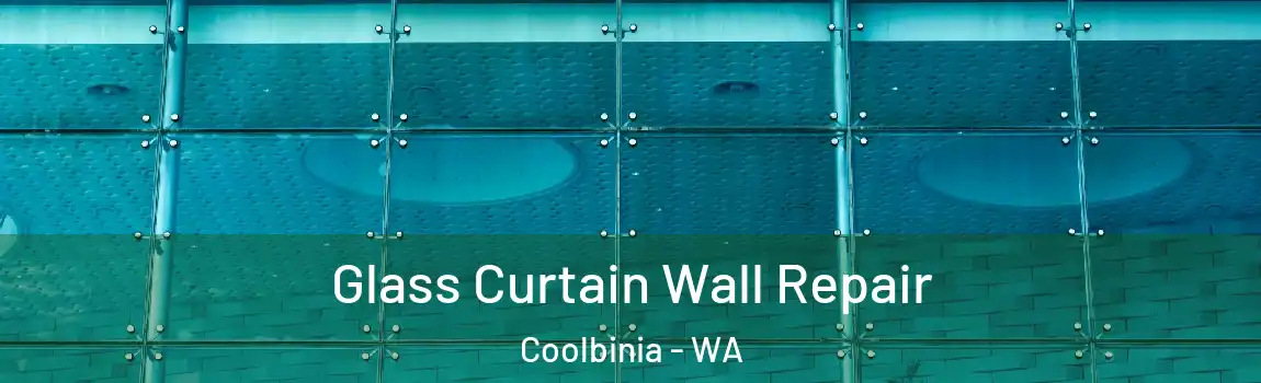Glass Curtain Wall Repair Coolbinia - WA