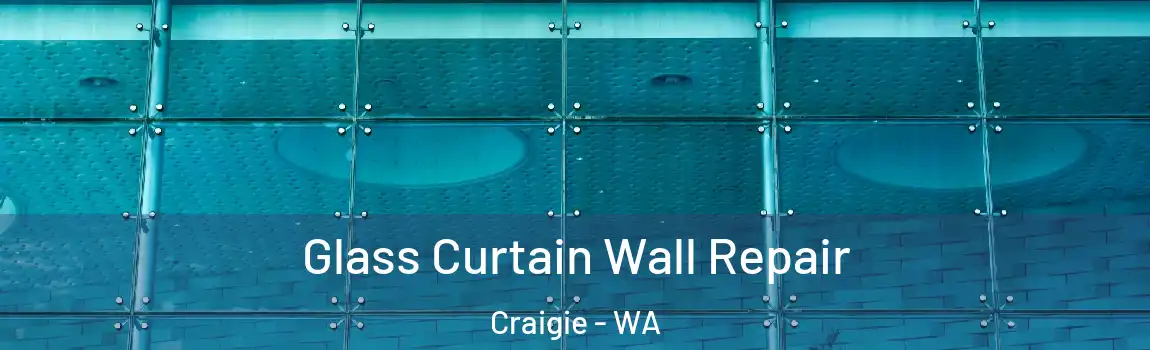 Glass Curtain Wall Repair Craigie - WA