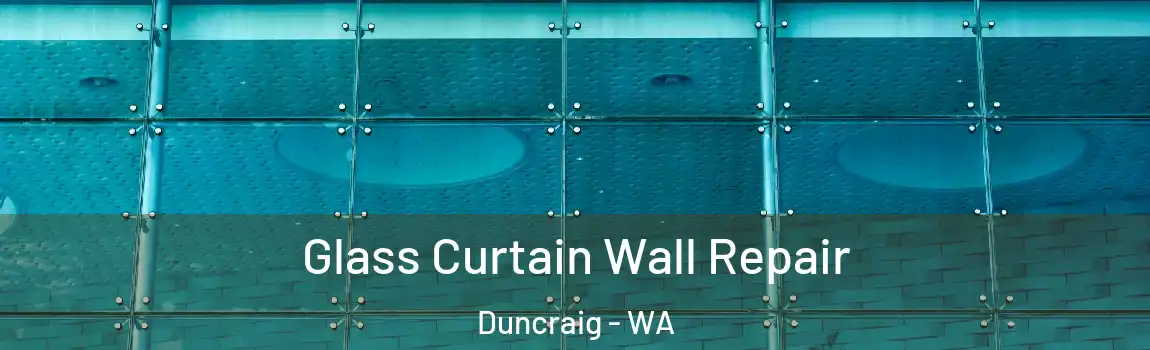Glass Curtain Wall Repair Duncraig - WA