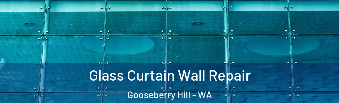 Glass Curtain Wall Repair Gooseberry Hill - WA