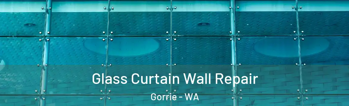 Glass Curtain Wall Repair Gorrie - WA