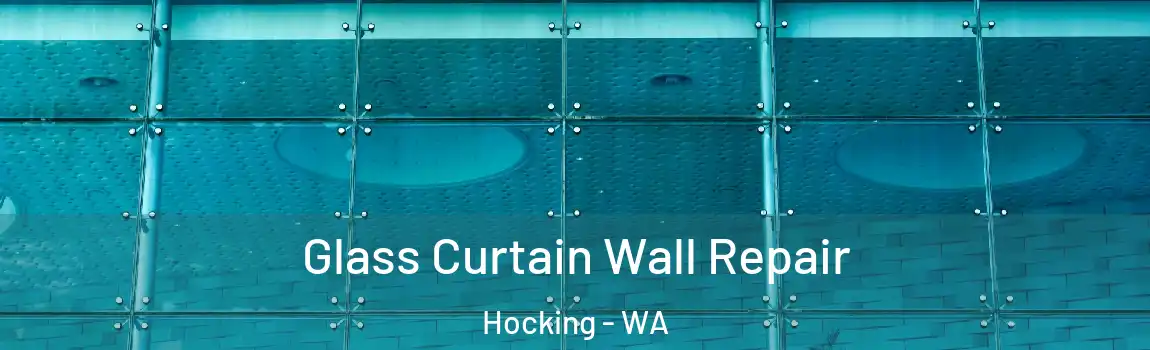 Glass Curtain Wall Repair Hocking - WA
