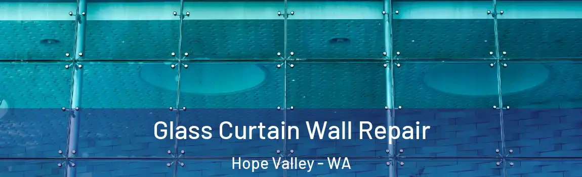 Glass Curtain Wall Repair Hope Valley - WA