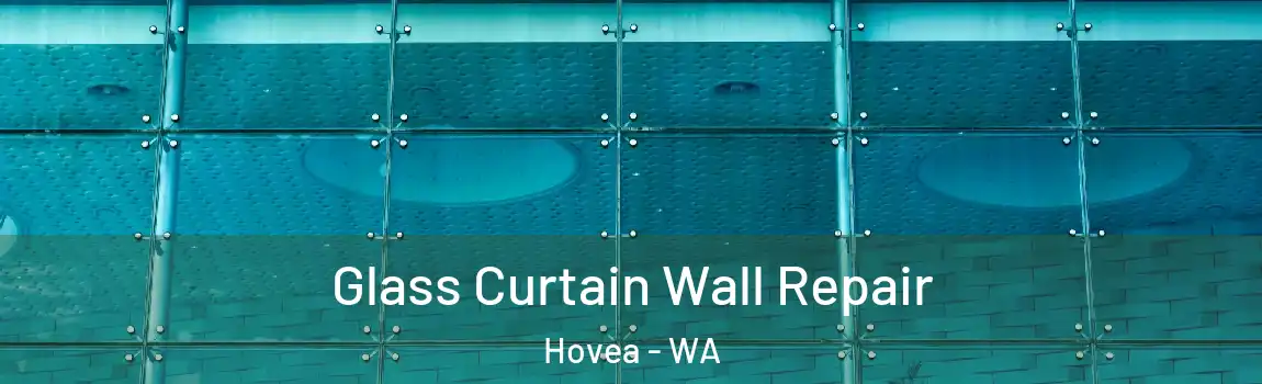 Glass Curtain Wall Repair Hovea - WA